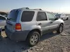 2007 Ford Escape XLT