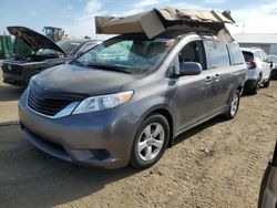 Salvage cars for sale at Brighton, CO auction: 2013 Toyota Sienna LE