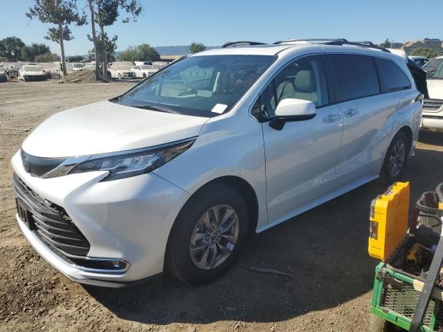 2023 Toyota Sienna XLE