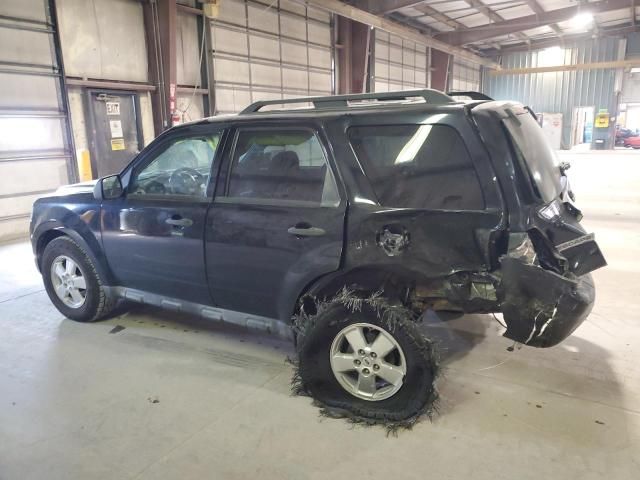 2010 Ford Escape XLT