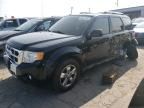 2010 Ford Escape Limited