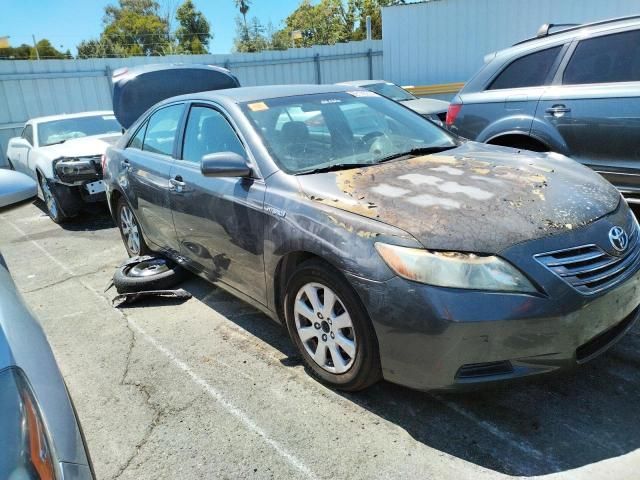 2009 Toyota Camry Hybrid