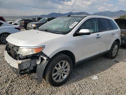 Salvage cars for sale at Magna, UT auction: 2011 Ford Edge SEL