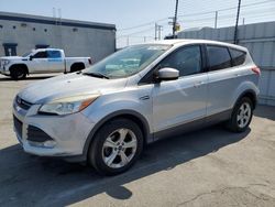 Ford salvage cars for sale: 2013 Ford Escape SE