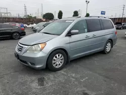 Honda salvage cars for sale: 2010 Honda Odyssey EXL