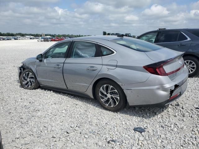 2023 Hyundai Sonata Hybrid