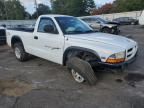 2000 Dodge Dakota