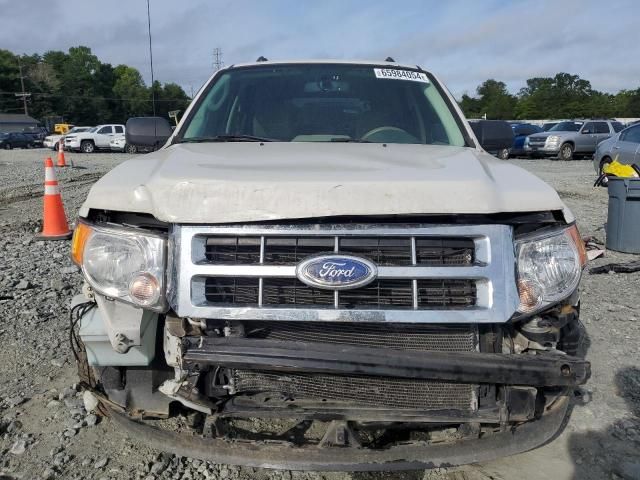 2011 Ford Escape XLT