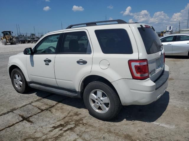 2009 Ford Escape XLT