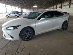 Salvage cars for sale at Phoenix, AZ auction: 2022 Lexus ES 300H Base