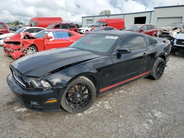 2013 Ford Mustang