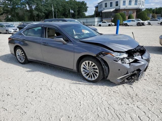 2021 Lexus ES 300H Luxury