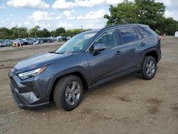 Salvage cars for sale at Baltimore, MD auction: 2024 Toyota Rav4 XLE