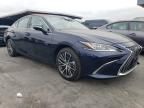 2024 Lexus ES 300H Base