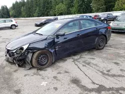 Hyundai Sonata Vehiculos salvage en venta: 2013 Hyundai Sonata GLS