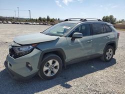 Salvage cars for sale at Mentone, CA auction: 2019 Toyota Rav4 XLE