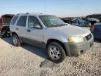 2007 Ford Escape XLT