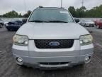 2007 Ford Escape XLT