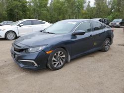 Salvage cars for sale at Cookstown, ON auction: 2019 Honda Civic EX