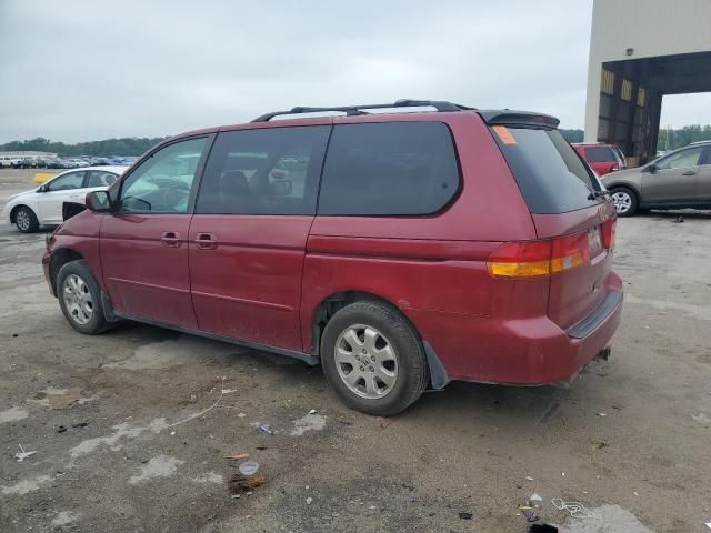 2004 Honda Odyssey EXL