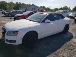 Salvage cars for sale at York Haven, PA auction: 2012 Audi A5 Premium Plus