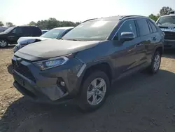 Flood-damaged cars for sale at auction: 2019 Toyota Rav4 XLE