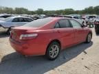 2009 Toyota Camry Hybrid