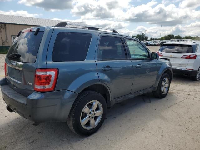 2012 Ford Escape Limited