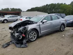 Salvage cars for sale at Seaford, DE auction: 2023 Hyundai Sonata SEL