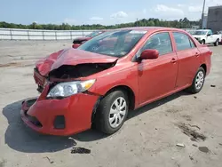 Toyota Corolla salvage cars for sale: 2012 Toyota Corolla Base