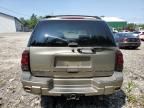 2002 Chevrolet Trailblazer