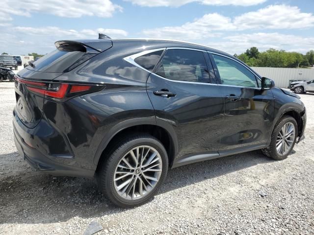 2023 Lexus NX 350H