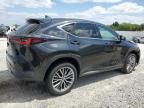 2023 Lexus NX 350H