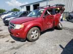 2009 Ford Escape XLS