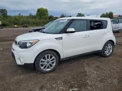 Salvage cars for sale at Columbia Station, OH auction: 2019 KIA Soul +