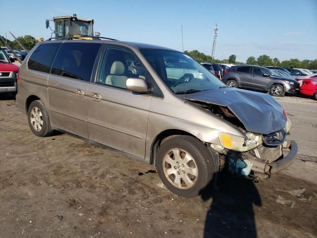 2004 Honda Odyssey EXL