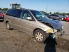 2004 Honda Odyssey EXL