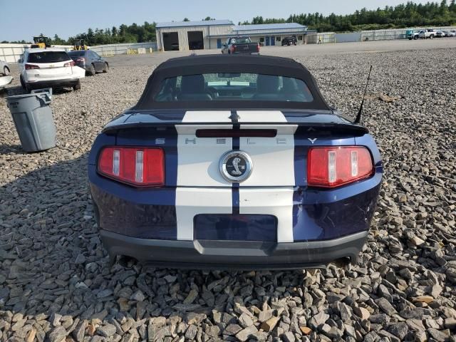 2010 Ford Mustang Shelby GT500