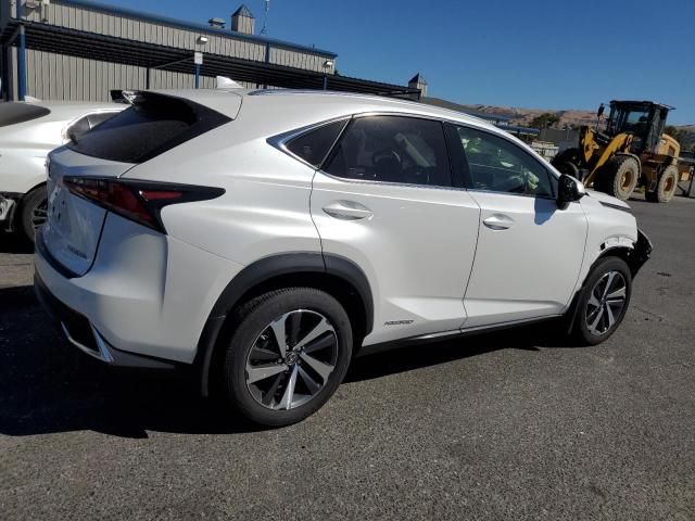 2020 Lexus NX 300H