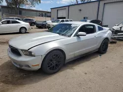 Salvage cars for sale from Copart Albuquerque, NM: 2012 Ford Mustang