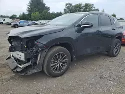 Salvage cars for sale at Finksburg, MD auction: 2023 Lexus NX 350