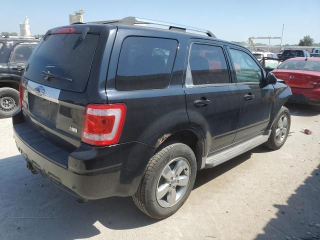 2010 Ford Escape Limited