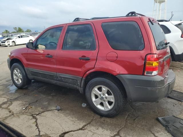 2005 Ford Escape XLT