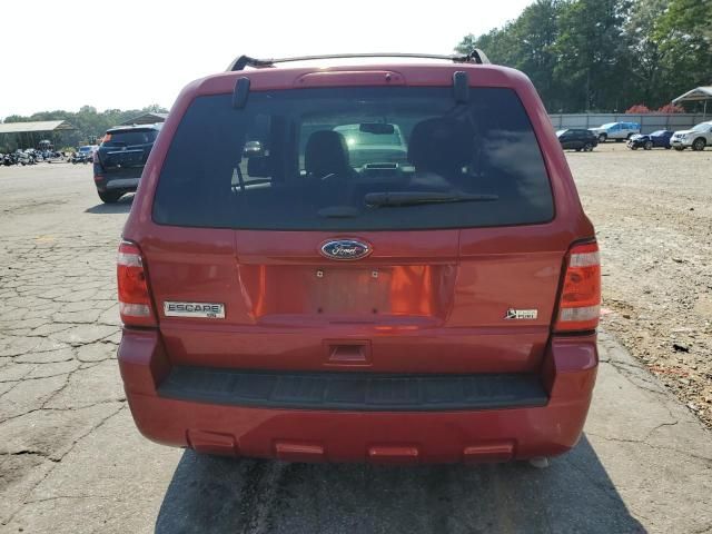 2012 Ford Escape XLT