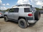 2007 Toyota FJ Cruiser