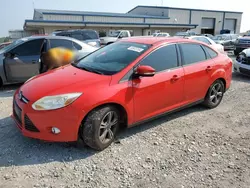 2014 Ford Focus SE en venta en Earlington, KY