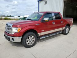 Salvage cars for sale from Copart Milwaukee, WI: 2013 Ford F150 Supercrew