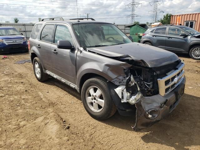 2009 Ford Escape XLT