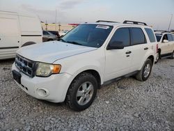 Salvage cars for sale at Cahokia Heights, IL auction: 2009 Ford Escape XLT