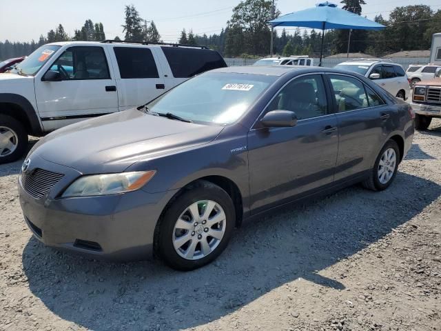 2008 Toyota Camry Hybrid